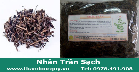 Nhân Trần sạch 1kg Nhân Trần sạch 1kg