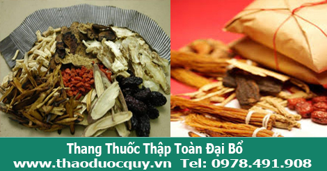 Thang Thuốc Ngâm Rượu "Thập Toàn Đại Bổ" Thang Thuốc Ngâm Rượu "Thập Toàn Đại Bổ"