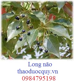 Long Não