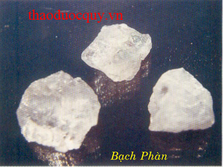 Tất Phàn