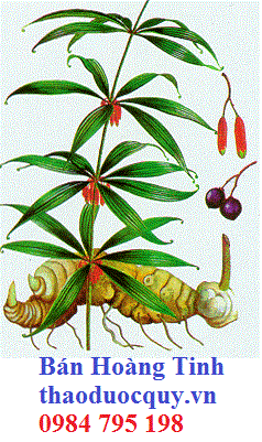 Uy Nhụy