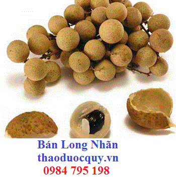 Á Lệ Chi