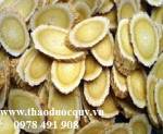 Bài thuốc hay trị bệnh trĩ