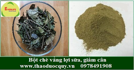 bột chè vằng