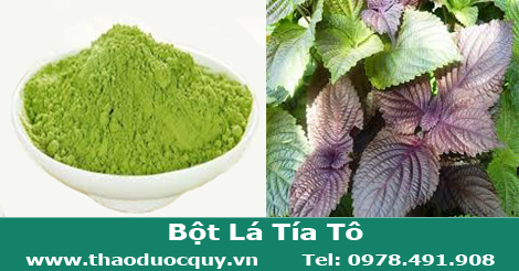 bột lá tía tô