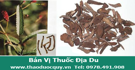 H&igrave;nh ảnh vị thuốc địa du