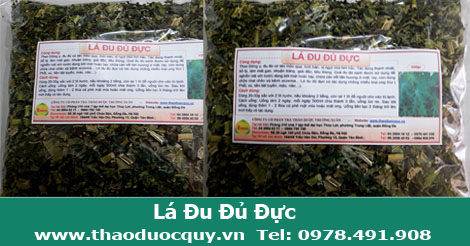 l&aacute; đu đủ đực
